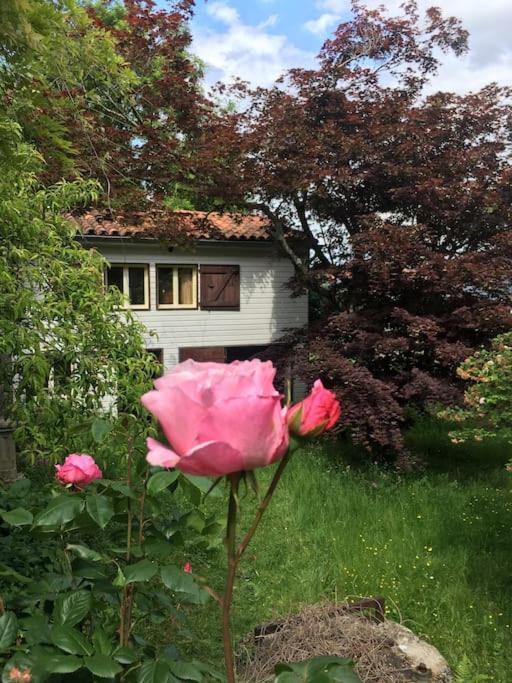Villa Lerable Pourpre De La Grotte Au Lion Arbon Exterior foto
